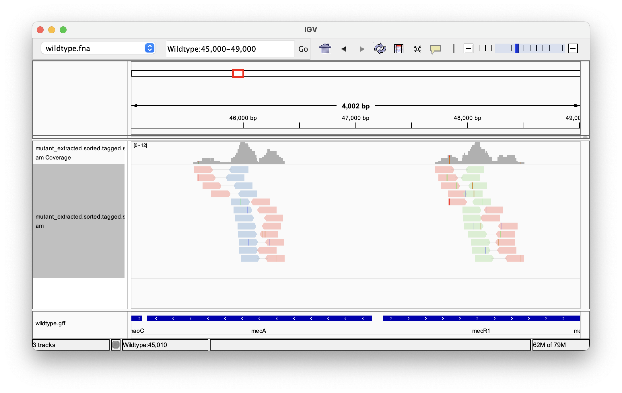 Detailed view of the mapped and tagged reads, colored by ‘km’ tag